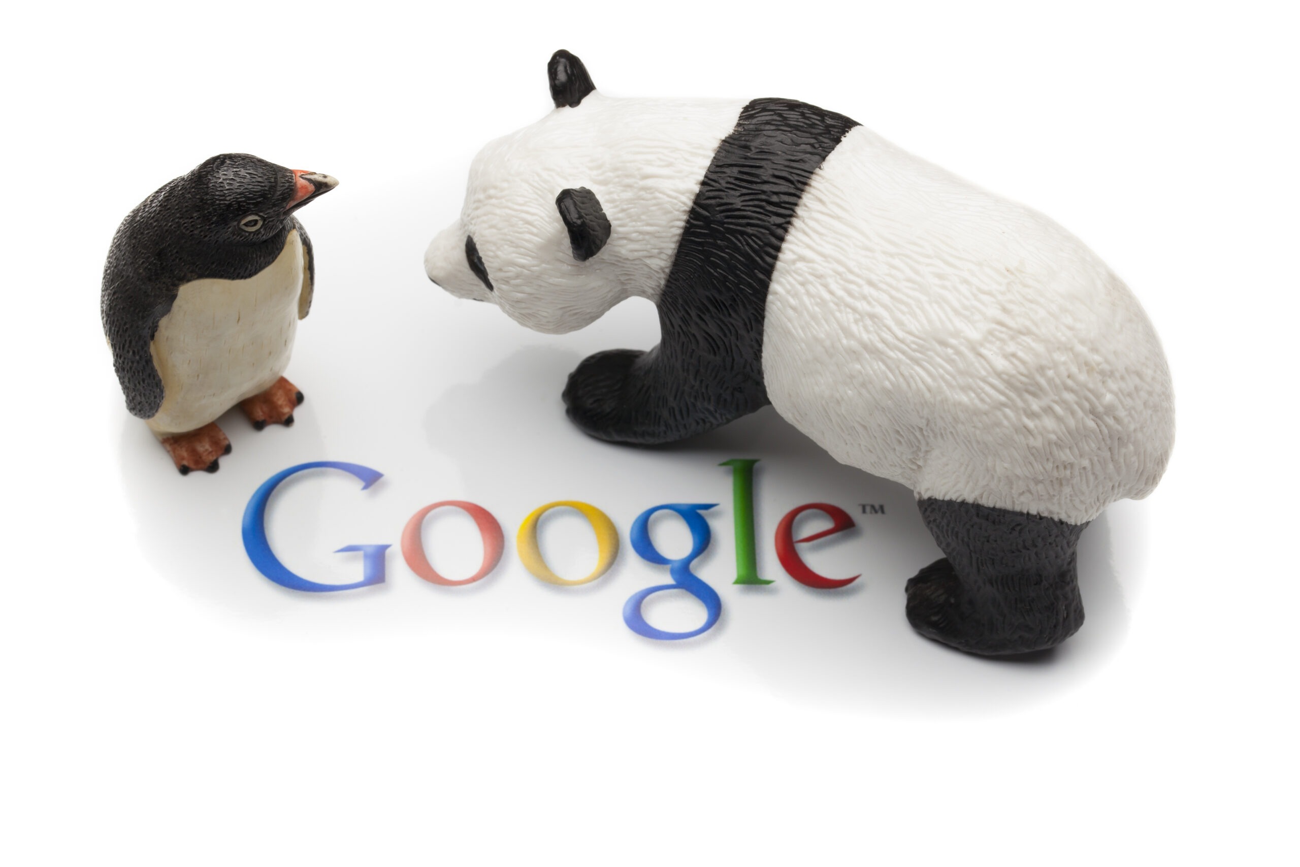 Google Panda and Penguin