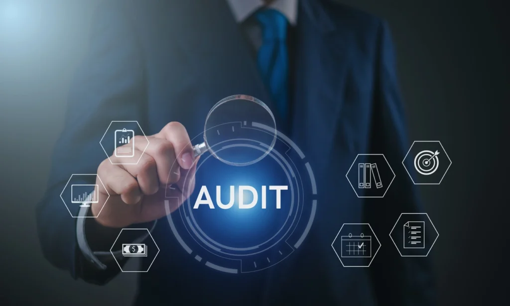 Systems audit, maturity scoring, modernisation plans